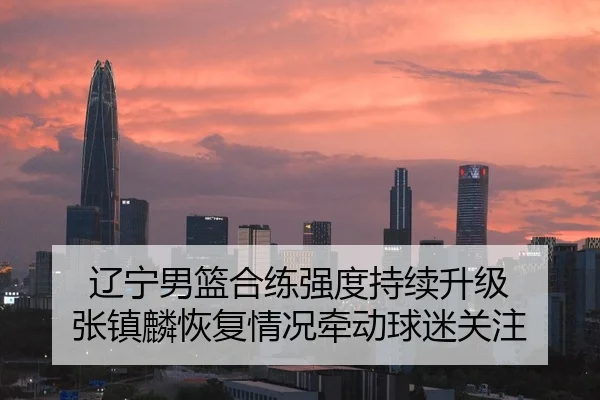 辽宁男篮合练强度持续升级 张镇麟恢复情况牵动球迷关注