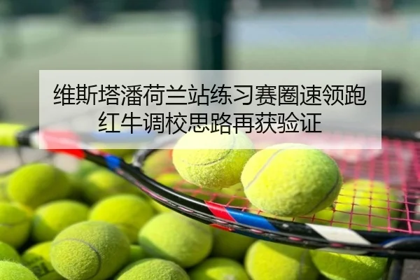 维斯塔潘荷兰站练习赛圈速领跑 红牛调校思路再获验证