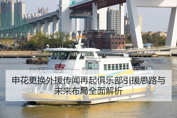 申花更换外援传闻再起俱乐部引援思路与未来布局全面解析