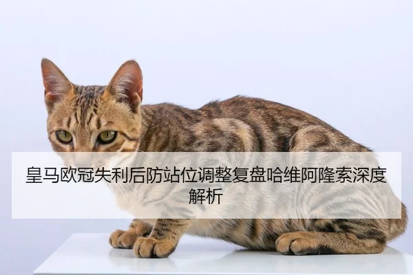 皇马欧冠失利后防站位调整复盘哈维阿隆索深度解析